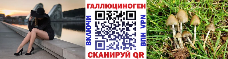 hydra как войти  Пикалёво  Псилоцибиновые грибы ЛСД  как найти  